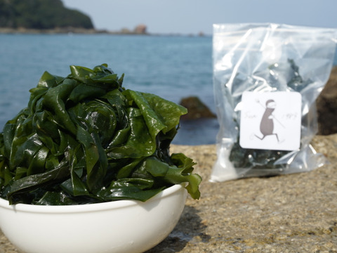 伊豆外浦産！新米漁師の採る【天然塩蔵わかめ】300g×４パック