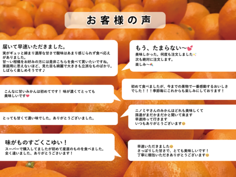 【食べチョクで１番売れてるみかんです！】贈答用の夕やけみかん【極】３ｋｇ（圧倒的人気のみかんです！）