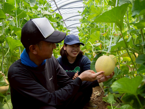 \\先行予約受付//【最高金賞 受賞】極上メロン 渥美の陽光-HIKARI-(１玉入)