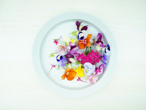 【週末発送★数量限定】マイクロハーブ　5種セット/各２g＆エディブルフラワー MIX20輪　セット