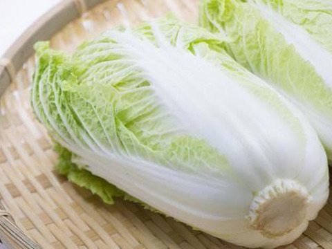 旨みがタップリ！冬に欲しくなる野菜5種！ほうれん草、人参など！