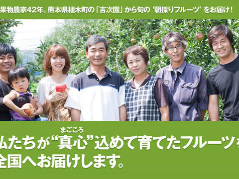 【ご予約商品】【ギフト可】完熟いちご化粧箱入り【24粒～33粒】