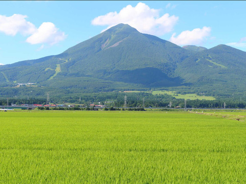 会津米　令和7年産　コシヒカリ　5キロ　（白米）