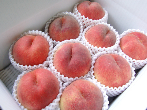 桃名人厳選　“桃“【白桃】3kg(8-12玉）8月収穫品種