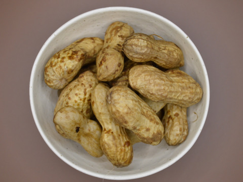 【※販売中※】生落花生　おおまさり　2.5㎏