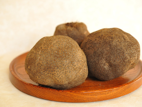 【NHK、中日新聞で紹介】とろろに最適！『木の山芋（このやまいも）』（約2kg　4〜6個入）
