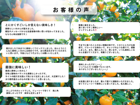 【極め尽くした味わい】玉宝みかん１０ｋｇ（小玉）（ご家庭用）