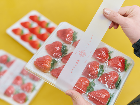 超希少！熊本県ブランド品種『ひのしずく』３００g✖️２P