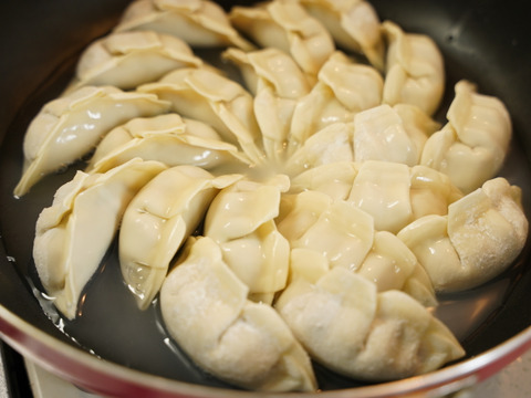 【鹿餃子】ジビエ初心者でも気軽に鹿肉を楽しめる定番商品！20個入