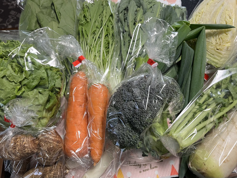 旬の野菜セット小1人〜2人用