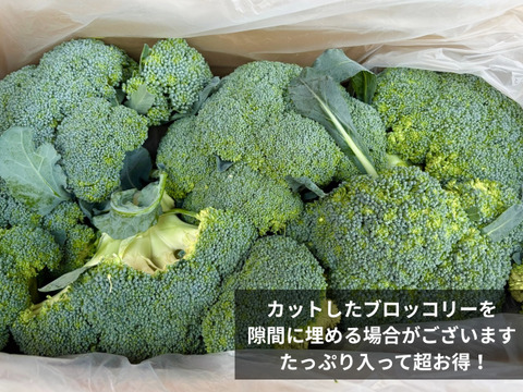 【ちょっと訳あり】ブロッコリー5〜7個