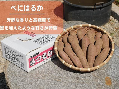 長期熟成！甘さ濃厚！千葉県産さつまいも【べにはるか】 約３kg サイズ色々の混載 鮮度を保つため土付き！