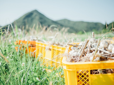 まじめなガーリックオリーブオイル140g×3p