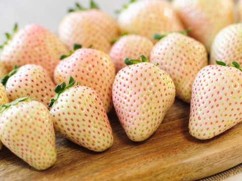 いちご王国栃木の白いちご　大粒『ミルキーベリー』（300ｇ×2パック）