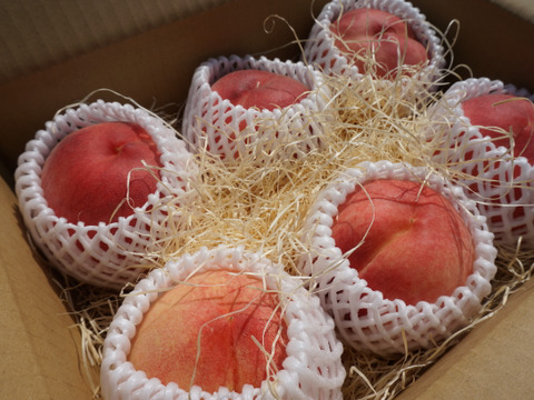 信州産（川中島平産）果汁たっぷり！川中島白桃　６入れ