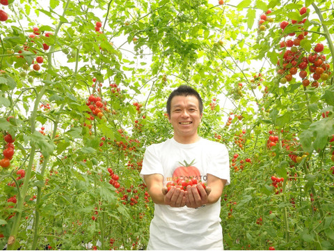 １番人気★有機栽培で日本一おいしいミニトマトを目指す飯田農園の《甘》オーガニック高糖度ミニトマト　幻のmiuトマト1000gパック🍅