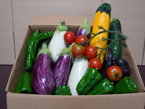【北海道産】野菜詰め合わせセット【農薬を使用せず自家栽培】