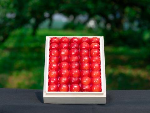 【先行予約割引】【農林水産大臣賞受賞園地】 大粒さくらんぼ 紅秀峰 特秀品 2Lサイズ 300g 桐箱 並詰 B-09-09