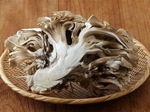 【あぴこ様専用商品】【おまけ市】『予約販売 山形県産 天然なめこ300g+天然まいたけ300gのセット』＋「鬼ぐるみ10個ｘ２」がつきます！