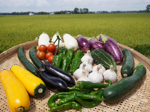 【北海道産】野菜詰め合わせセット【農薬を使用せず自家栽培】