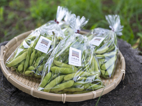 【７〜８月出荷】長野伊那谷の枝付きエダマメ【300g×4袋】【農薬・化学肥料不使用】