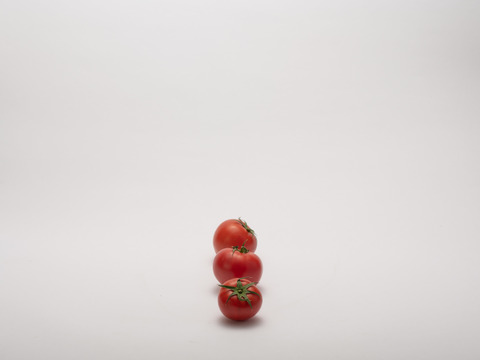 (A)樹上でポッと　あか〜く熟れた　トマト(2kg) 大きさおまかせ