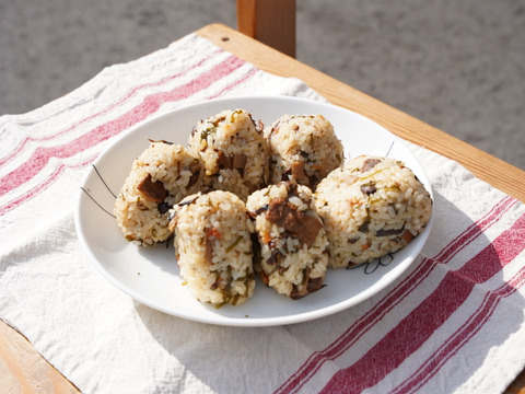 鹿肉ホロホロ！鹿肉炊き込みご飯「しかめし」の素　2合炊き×1セット