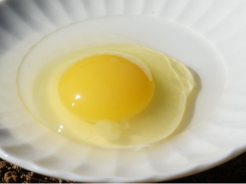 【朝市限定】【お塩で食べられる🐣🍚卵かけご飯】山もりたまご【30個入】白身の甘みを味わってみませんか？