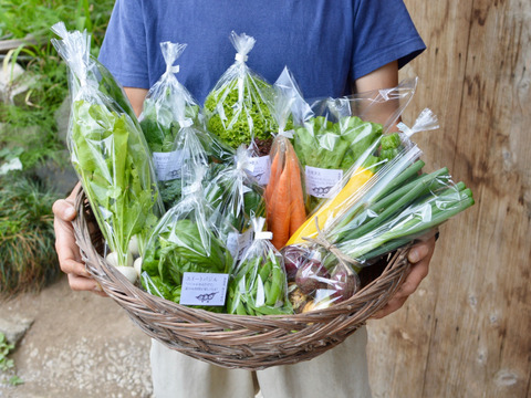 野菜ボックス(8〜10品)