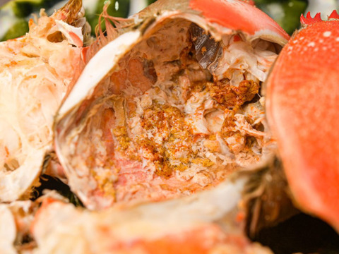 【特大】ボリューム満点！宮崎県産アサヒガニ （１kg）