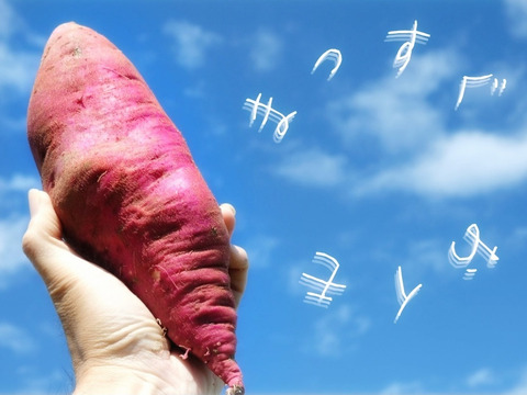農薬不使用だから安心！愛知県産さつまいも（紅はるか）2L−4Lサイズ　5kg　【一般お客様向け残り10kg（2箱）！】
※その他法人さま向け※食べチョクアワード副賞用として3箱は受注済みです。