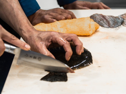 【骨抜き！衣付き！】ひらめのフライ(300g/12~15個)