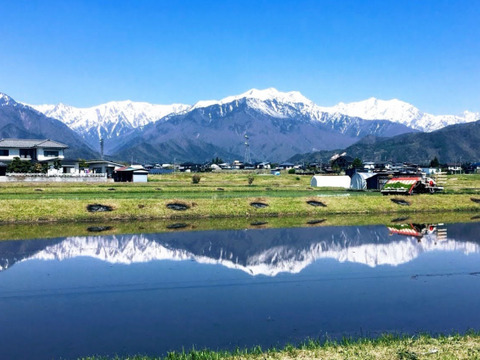 【無添加】醤油麹 450ml