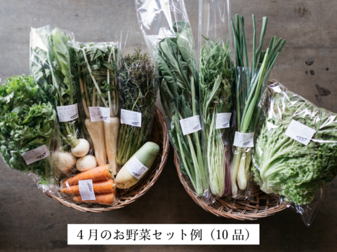 野菜セットＭサイズ（9〜10品）【農薬・化学肥料・動物性堆肥｜不使用】