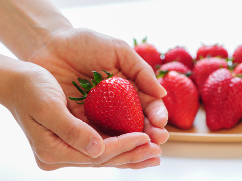 【福袋】「栃木のいちご4種入り！」厳選！2パック9～15粒【ゆりかーご】900g以上