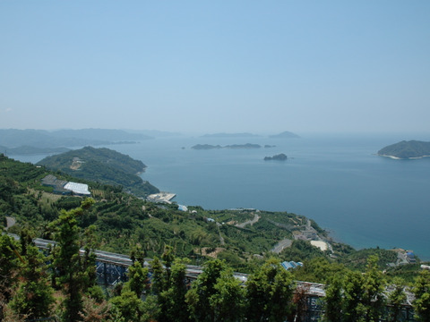 濃厚果汁！南津海(なつみ)　ご家庭用・３Kg