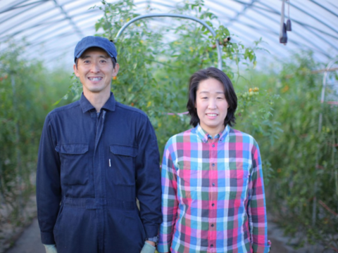 野菜ソムリエサミット金賞受賞ミニトマトほれまる＆甘っこ 2種食べ比べ