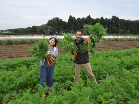 北総台地　寒暖差10度以上【農薬・化学肥料不使用】「旬野菜セット」Mサイズ 8〜9品