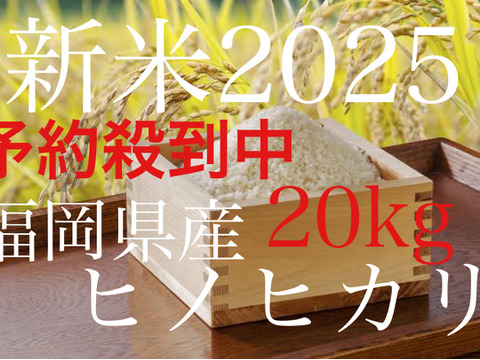 伽羅　予約　精米20キロ 伽羅 予約 精米20キロ お米 20kg 送料無料」の人気商品一覧 | 安い