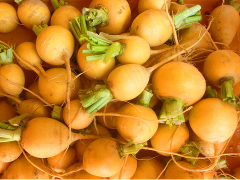 楽しい食卓！カラフル野菜セット6品目～農薬/化学肥料・不使用