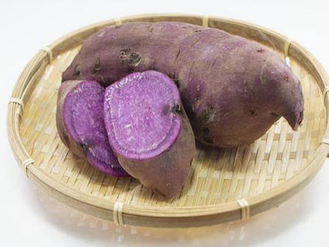 予約限定価格！ほくほく甘い【新芋】横浜産 自然栽培 綾紫10kg（S〜L混合）【9.10月配送】