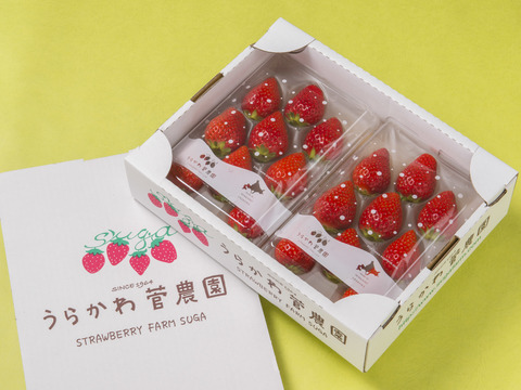 じっくり育てた果汁の香り良い『恋みのり』1箱2ﾄﾚｰ入