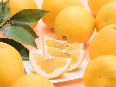 【わけあり7kg】夏文旦　濃厚ジューシー！南国高知の特産みかん「夏文旦」柑橘みかん　オレンジ