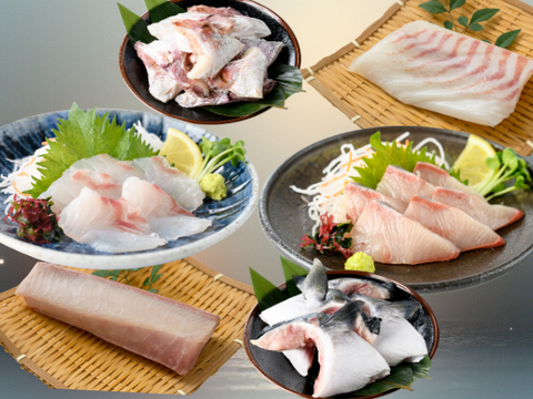 【福袋】百年漁師の真鯛と鰤食べ比べ③（熨斗対応可）