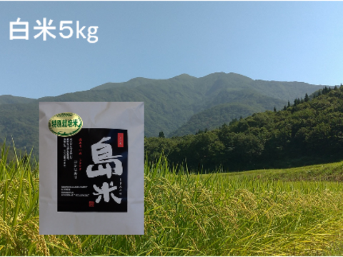 新米！R5年産 特別栽培米 幻のコシヒカリ最上流で最上級5k白米