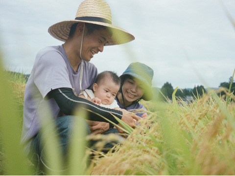 【令和7年新米】特別栽培米ひとめぼれ玄米10キロ