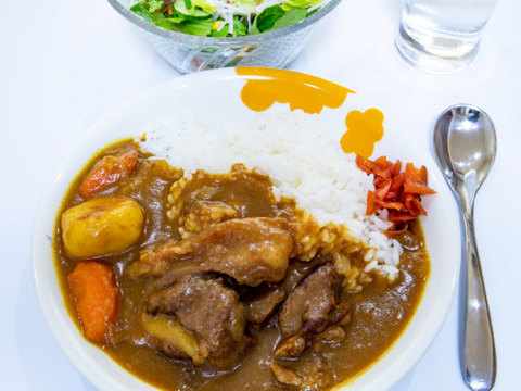 【数量限定品】兵庫県産黒毛和牛（経産牛）「赤身肉付の牛すじ肉（煮込み用）500g/パック×２」