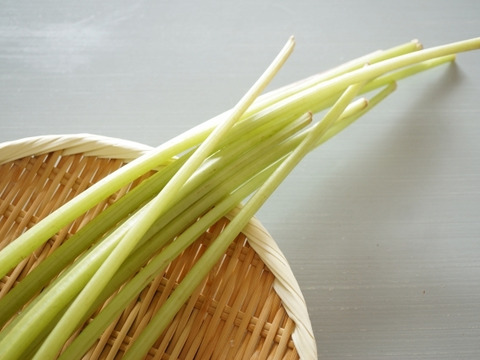 【ミケロン吉永様専用商品】天然  山フキ　2kg