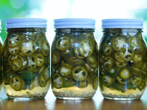 【栽培期間中農薬不使用】糸島産☆ハラペーニョ（1キロ）