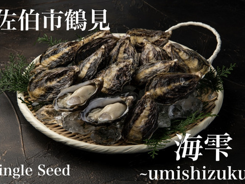 さっぱり甘い！生食用真牡蠣！海雫~umishizuku~（20個）